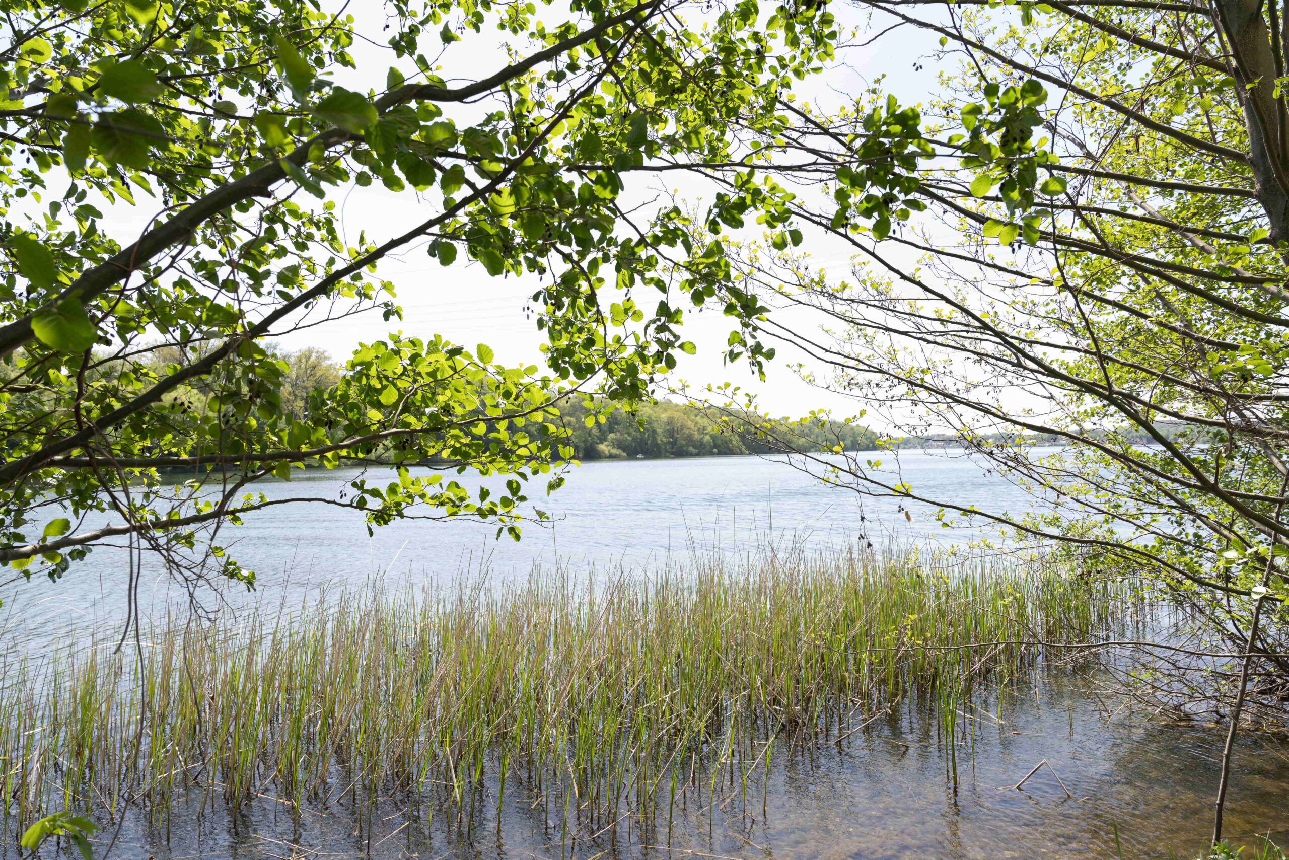 Immanuel_Diakonie_Sozialstation_Haus_am_Kalksee