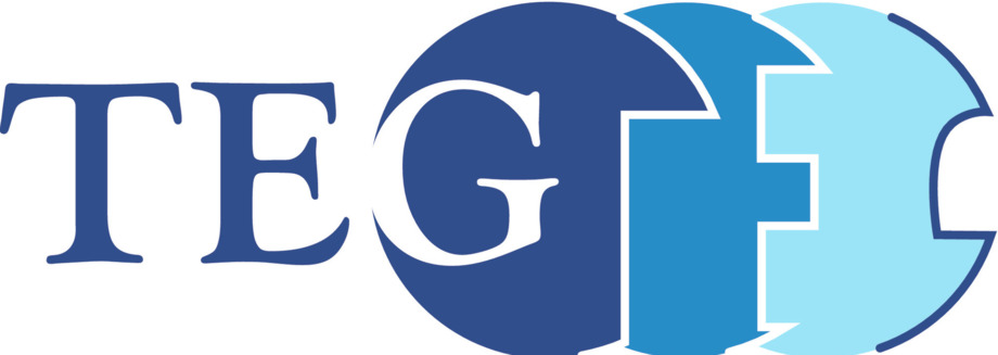 Zeigt das Logo von : Tiefbau- und Erschließungs GmbH 